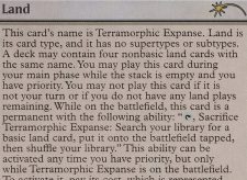 Terramorphic Expanse