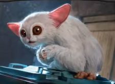 The Meep