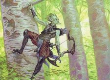 Timberwatch Elf
