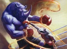 Prizefight