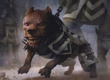 Cathar’s Companion