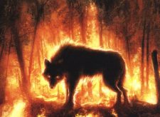 Ember-Eye Wolf