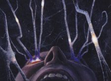 Fevered Visions