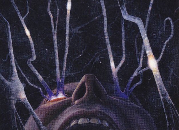 Fevered Visions