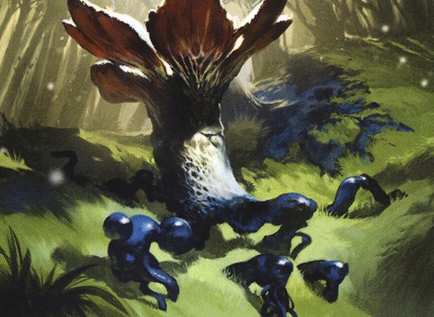 Moldgraf Scavenger