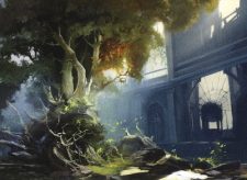 Seasons Past