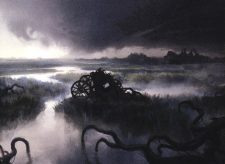 Swamp