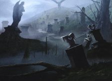 Swamp