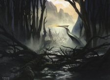 Swamp