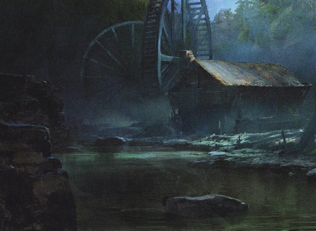 Woodland Stream