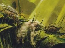 Carrion Call