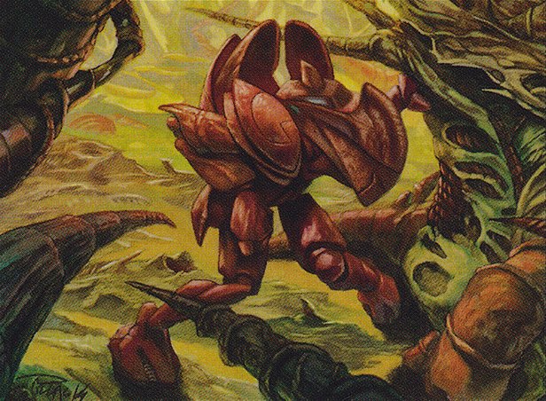 Copper Myr