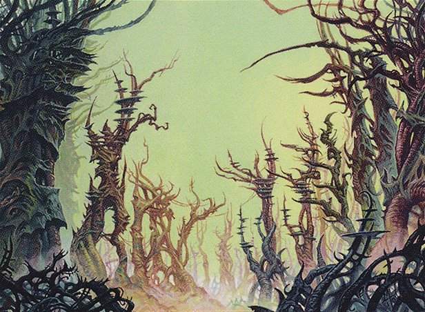 Forest