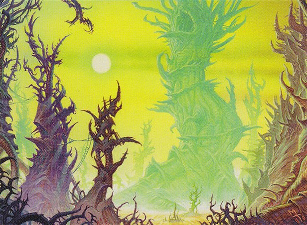 Forest