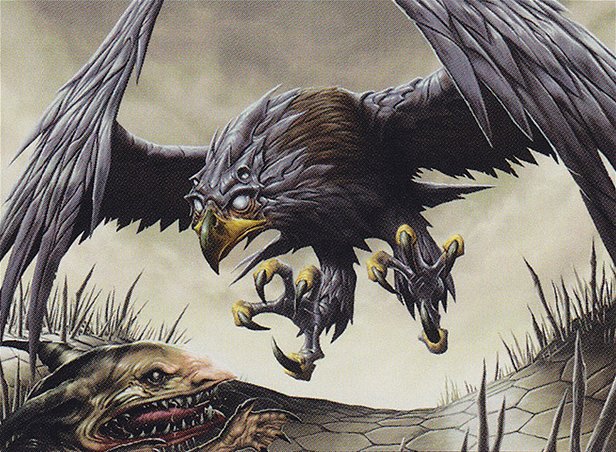 Glint Hawk