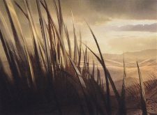 Plains