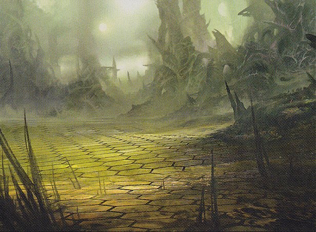 Razorverge Thicket