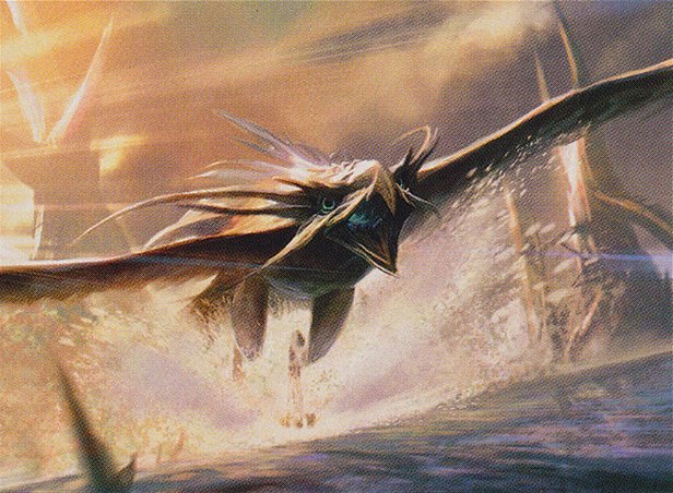 Screeching Silcaw