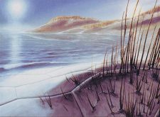 Seachrome Coast