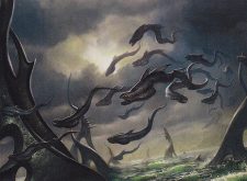 Sky-Eel School