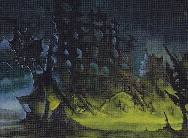Swamp