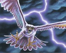 Skyshroud Falcon