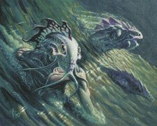 Tidal Warrior