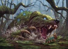 Bayou Groff