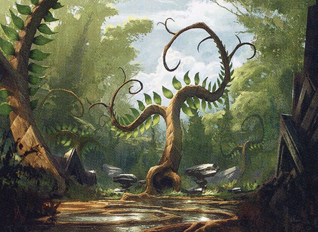 Forest