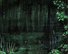 Bayou