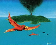 Birds of Paradise