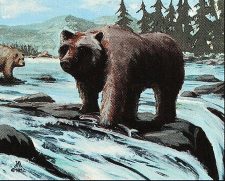 Grizzly Bears