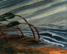 Hurricane