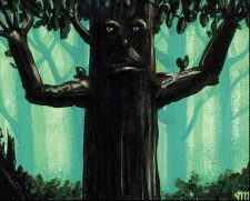 Ironroot Treefolk