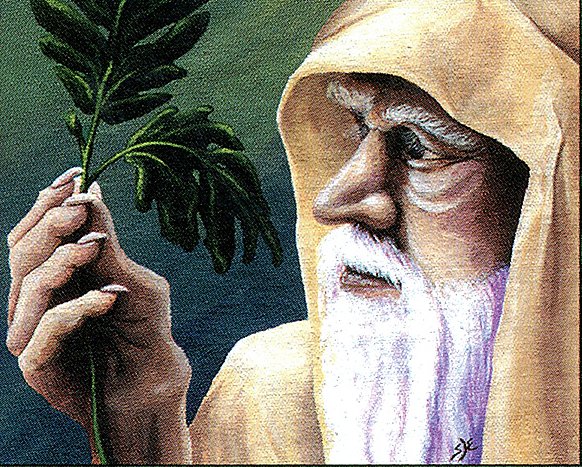 Ley Druid