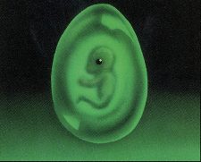 Lifeforce