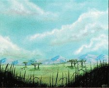 Plains