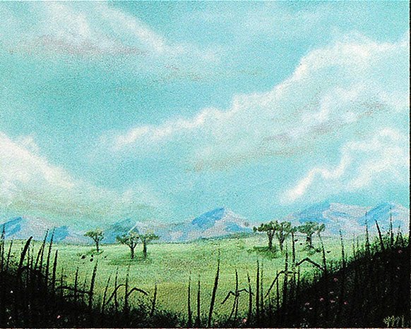 Plains