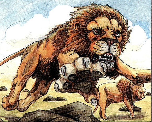 Savannah Lions
