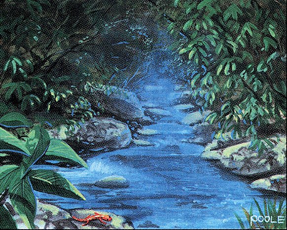 Stream of Life
