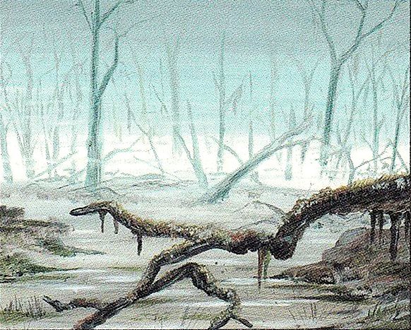 Swamp