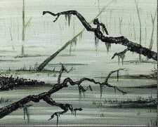 Swamp
