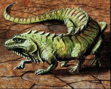 Thicket Basilisk