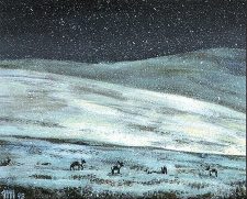 Tundra