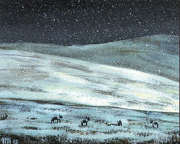 Tundra