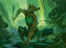 Ainok Wayfarer