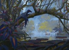 Swamp