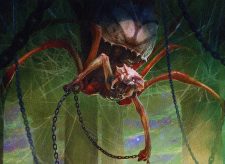 Chainweb Aracnir