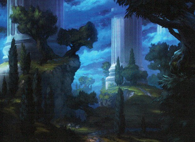 Forest