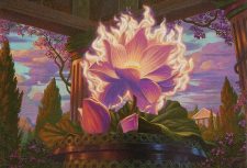 Nyx Lotus